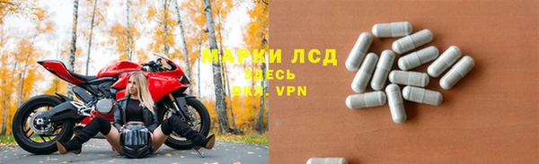 хмурый Аркадак