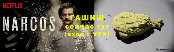хмурый Аркадак