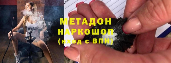 хмурый Аркадак