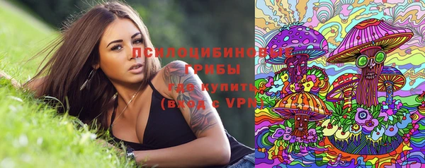 хмурый Аркадак
