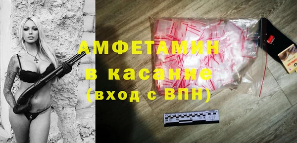 хмурый Аркадак