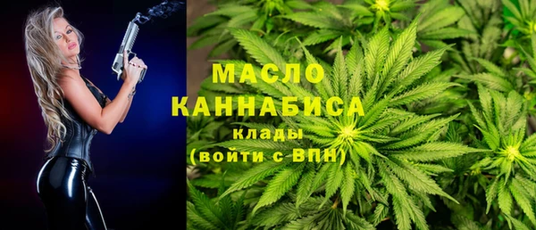 хмурый Аркадак