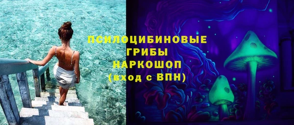 меф Арсеньев