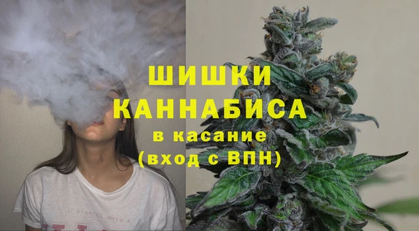 меф Арсеньев