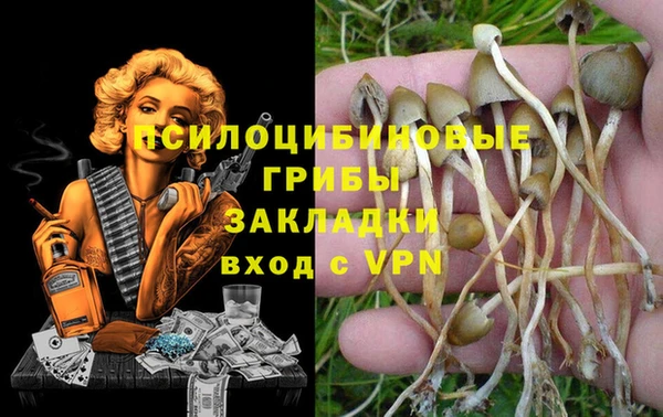 дурь Армянск