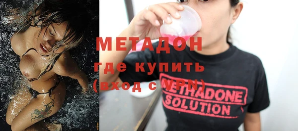 хмурый Аркадак